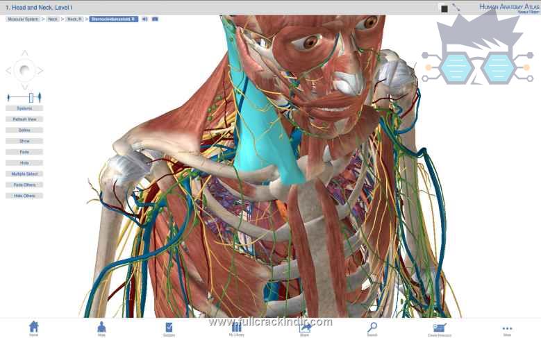 visible-body-3d-insan-anatomisi-full-aio-paket-indir