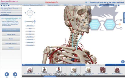 visible-body-anatomy-and-physiology-v128-tam-surum-mac-os-x-indir