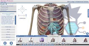 visible-body-anatomy-ve-fizyoloji-yi-ucretsiz-indir