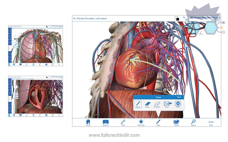 visible-body-insan-anatomisi-atlasi-7401-full-turkce-indir