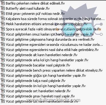 vucut-gelistirme-ipuclari-egitim-seti-turkce-indir