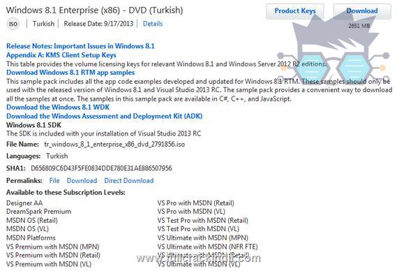 windows-81-enterprise-3264-bit-turkce-msdn-orijinal-indir